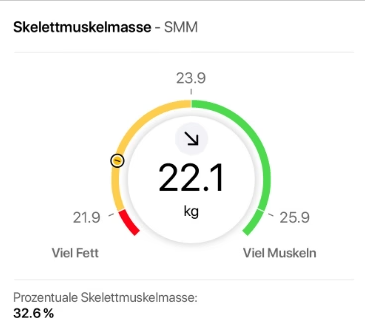 Skelettmuskelmasse