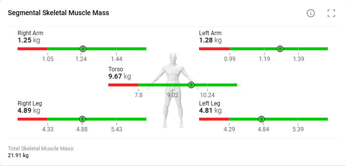 Segmental Skeletal Muscle Mass